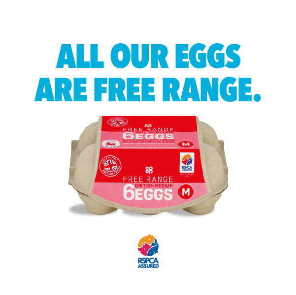 RET0022 Food P12_Own Brand 600x600px_EGGS_V1.jpg