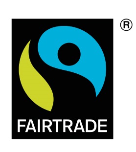 FT logo.jpg